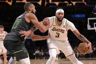 Rudy Gobert and Anthony Davis